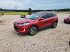 FORD ESCAPE 2020