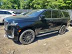 CADILLAC ESCALADE 2024
