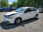 FORD FOCUS 2010