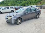 FORD FOCUS 2010