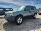 FORD ESCAPE 2005