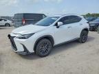 LEXUS NX 2024