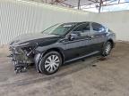 TOYOTA CAMRY HYBRID 2023