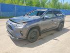TOYOTA RAV4 2021