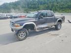 DODGE DAKOTA 2003