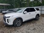 HYUNDAI PALISADE 2024