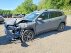 JEEP CHEROKEE 2020