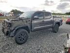 TOYOTA TACOMA 2023