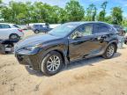 LEXUS NX 2019