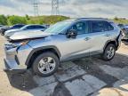 TOYOTA RAV4 2024