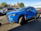 LEXUS NX 2023