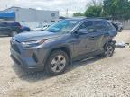TOYOTA RAV4 2025