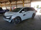 HONDA ODYSSEY 2024
