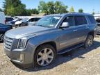 CADILLAC ESCALADE 2020