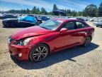LEXUS IS 2008
