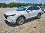 HONDA CR-V 2023