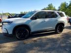 HONDA PILOT 2025