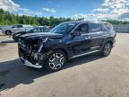 HYUNDAI PALISADE 2024
