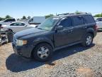 FORD ESCAPE 2010