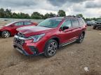 SUBARU ASCENT 2024