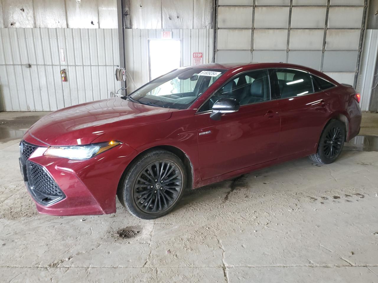 TOYOTA AVALON XLE 2019