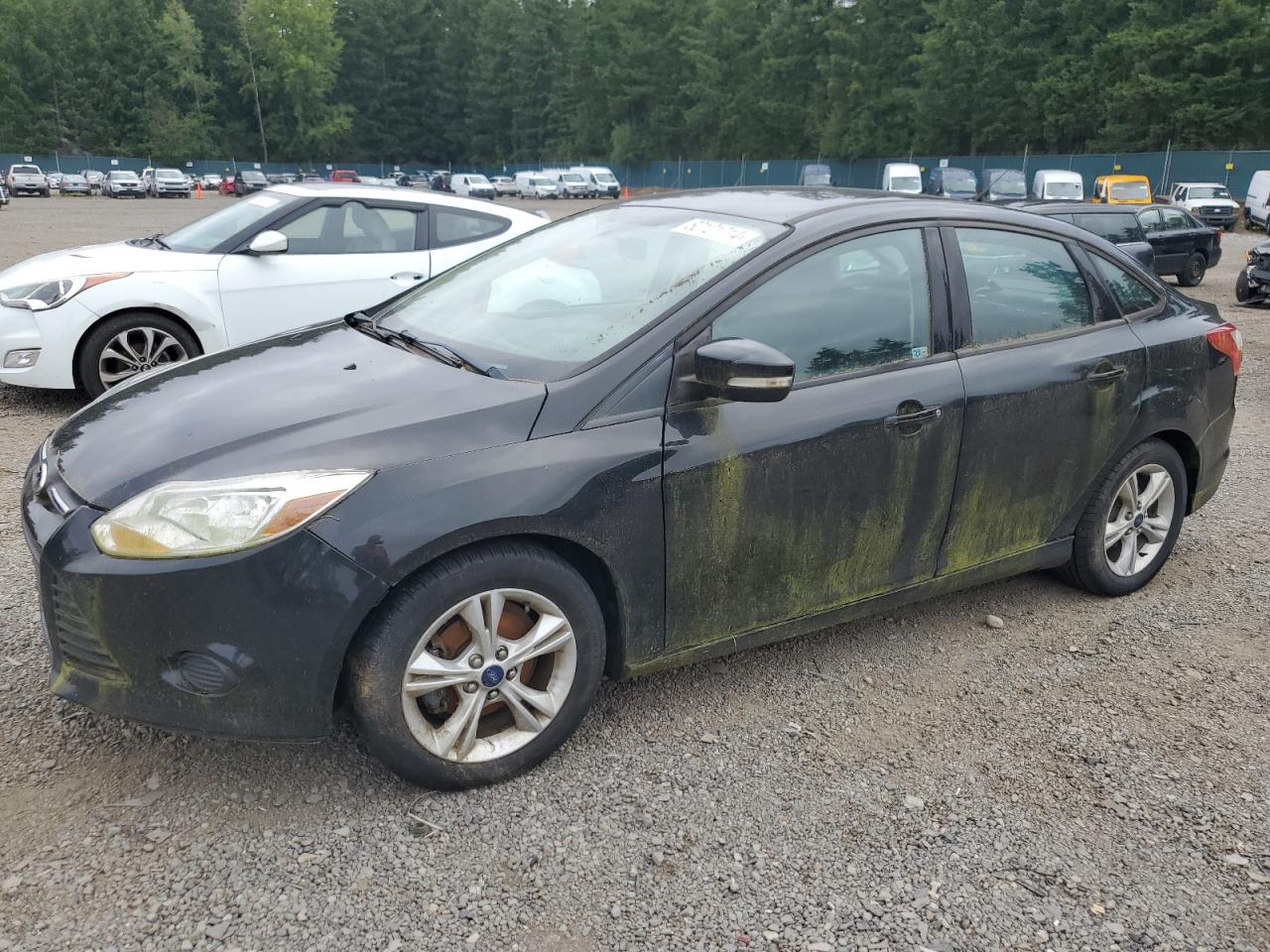 FORD FOCUS 2014