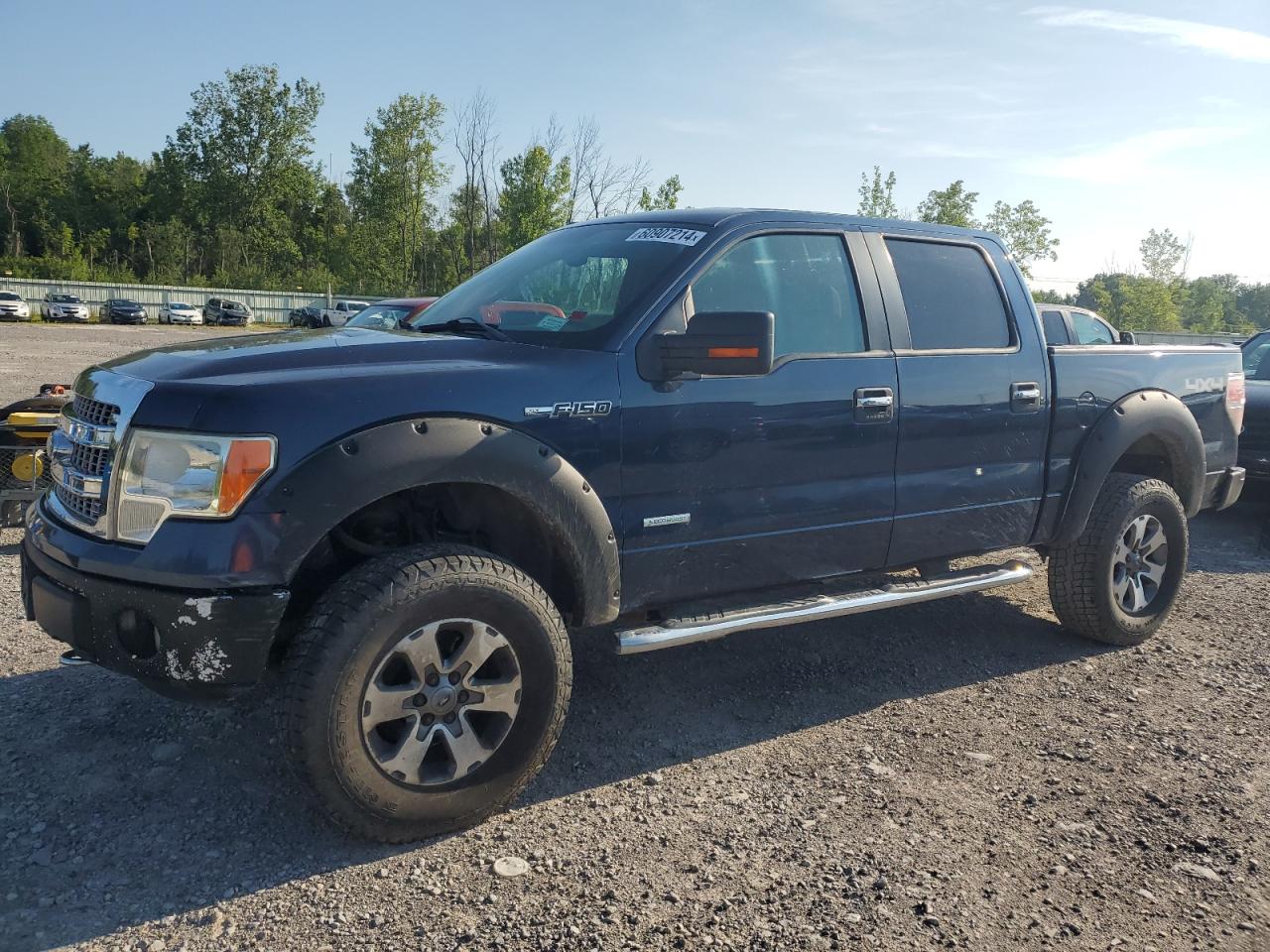 FORD F-150 2013