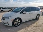 HONDA ODYSSEY 2022