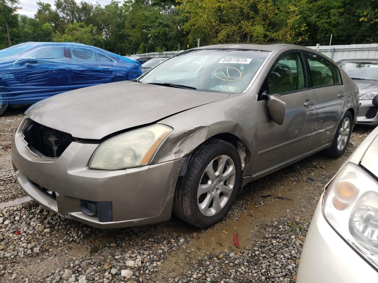 Nissan Maxima 2007