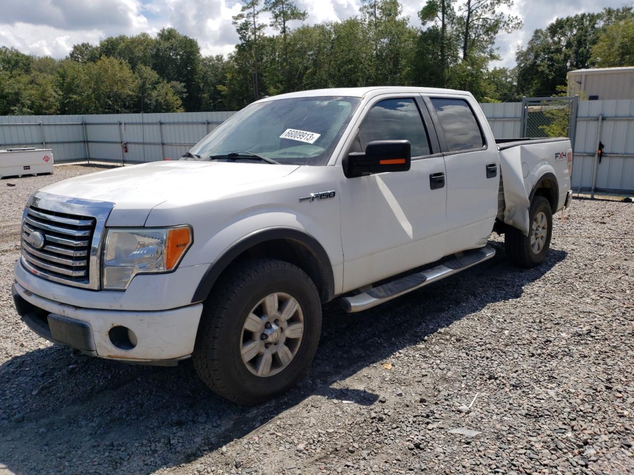 Ford F-150 2010