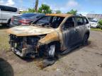 TOYOTA HIGHLANDER 2017