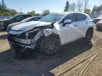 LEXUS NX 2025