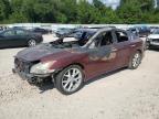 NISSAN MAXIMA 2010