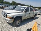 DODGE DAKOTA 2002