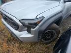 TOYOTA TACOMA 2024