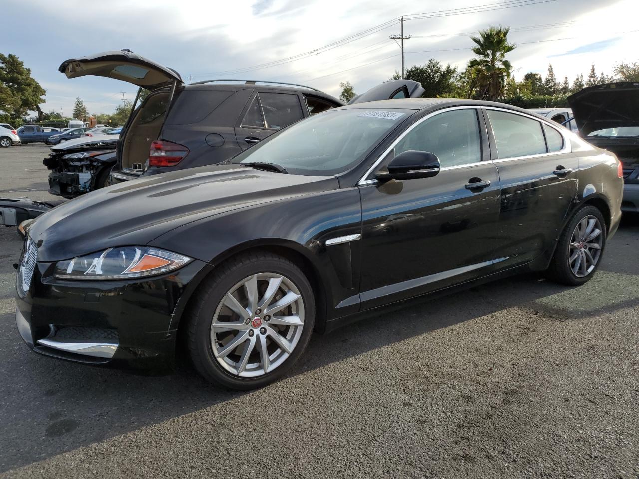 Jaguar Xf 2014