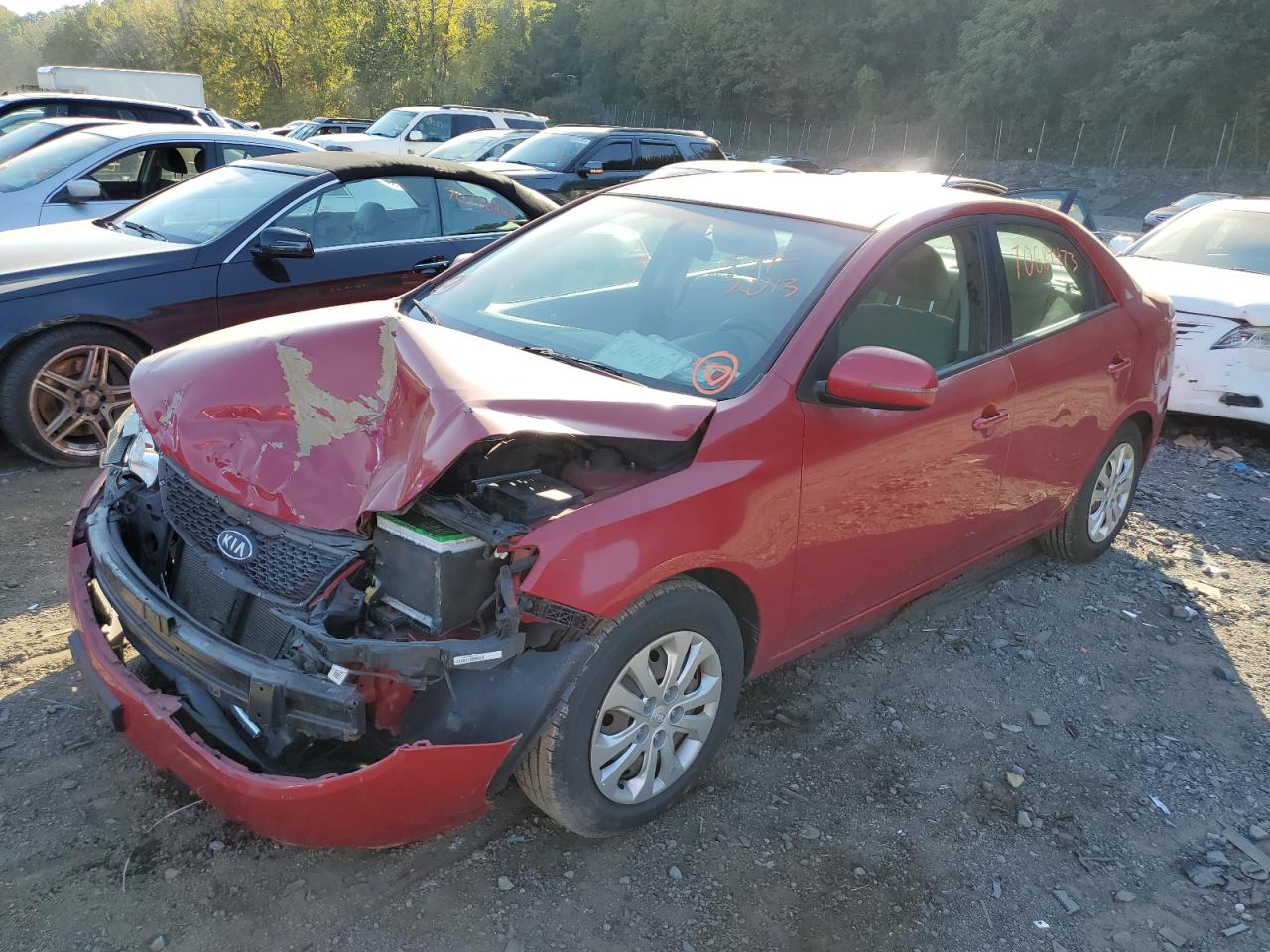 Kia Forte 2013