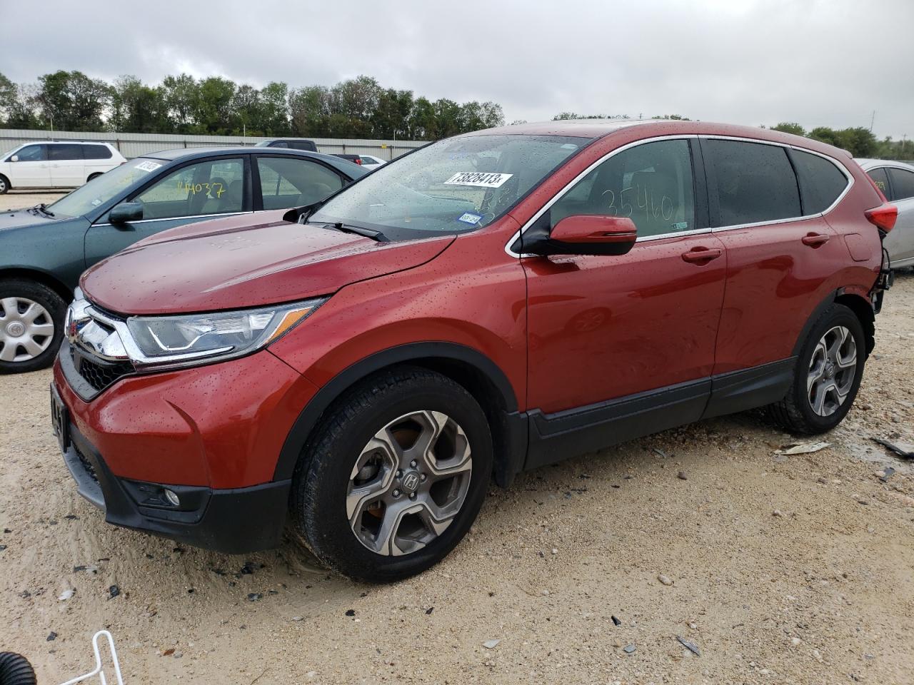 Honda Cr-v 2019
