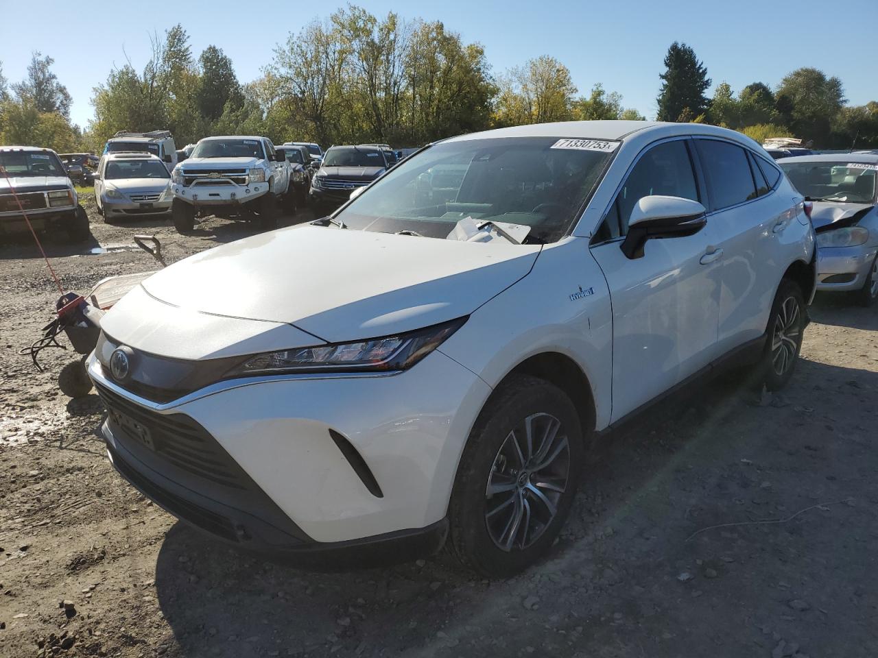 Toyota Venza 2021