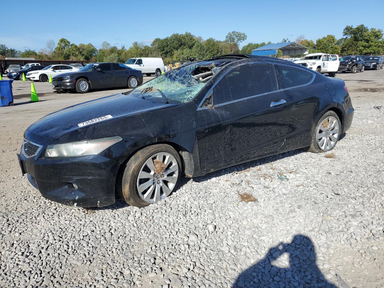Honda Accord 2010
