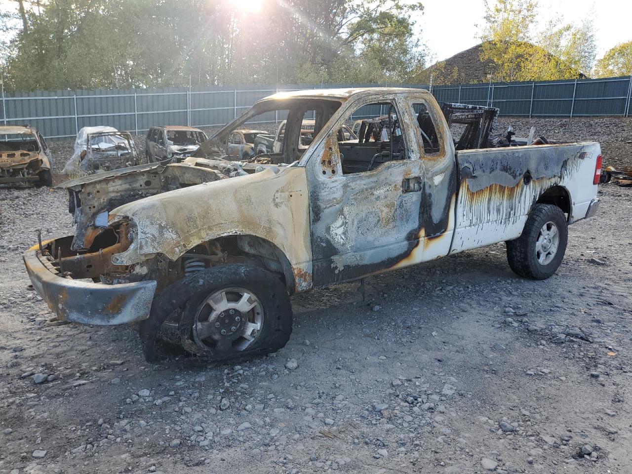 Ford F-150 2007