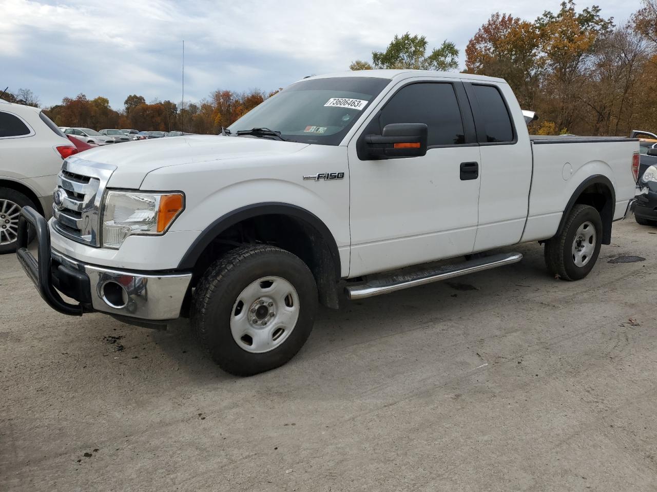 Ford F-150 2010