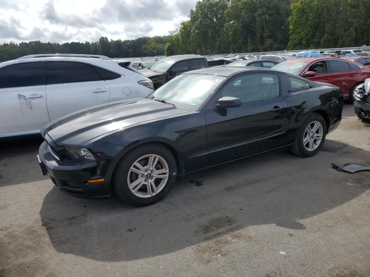 Ford Mustang 2014