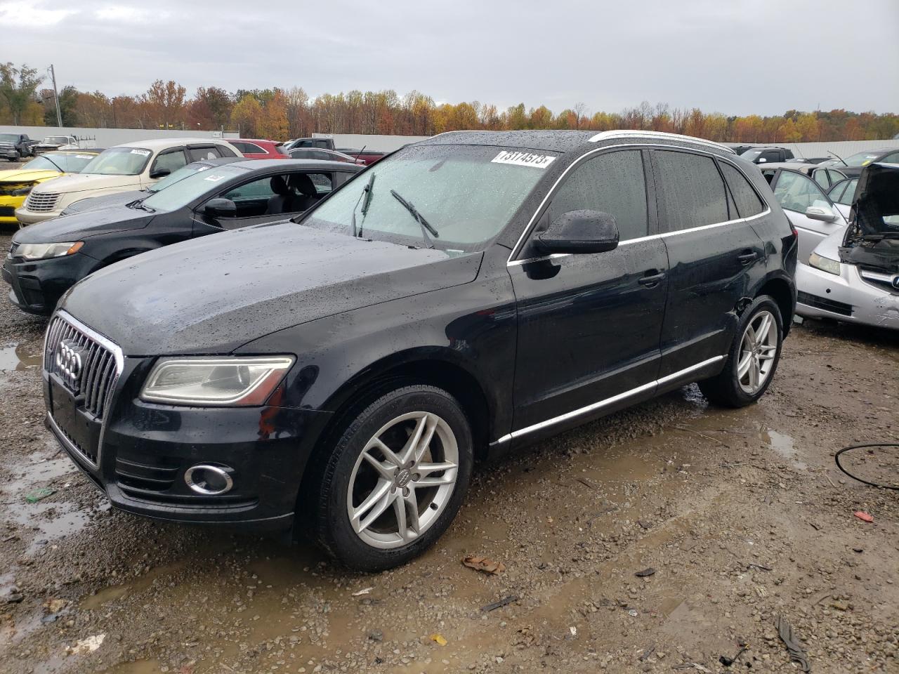 Audi Q5 2013