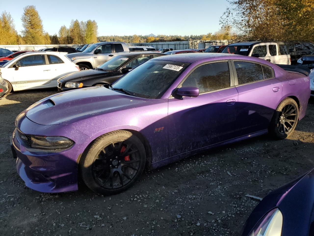 Dodge Charger 2016