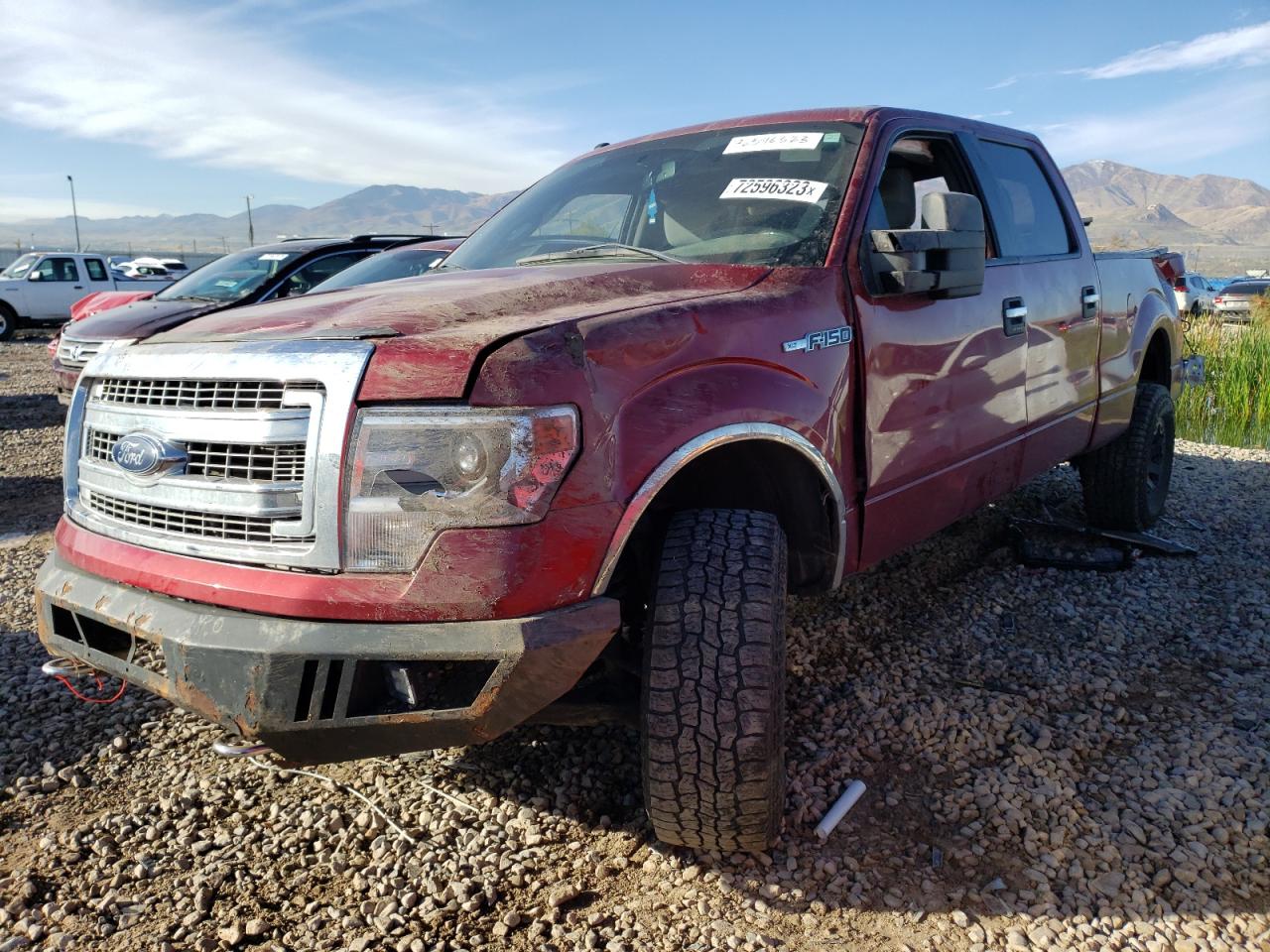 Ford F-150 2014