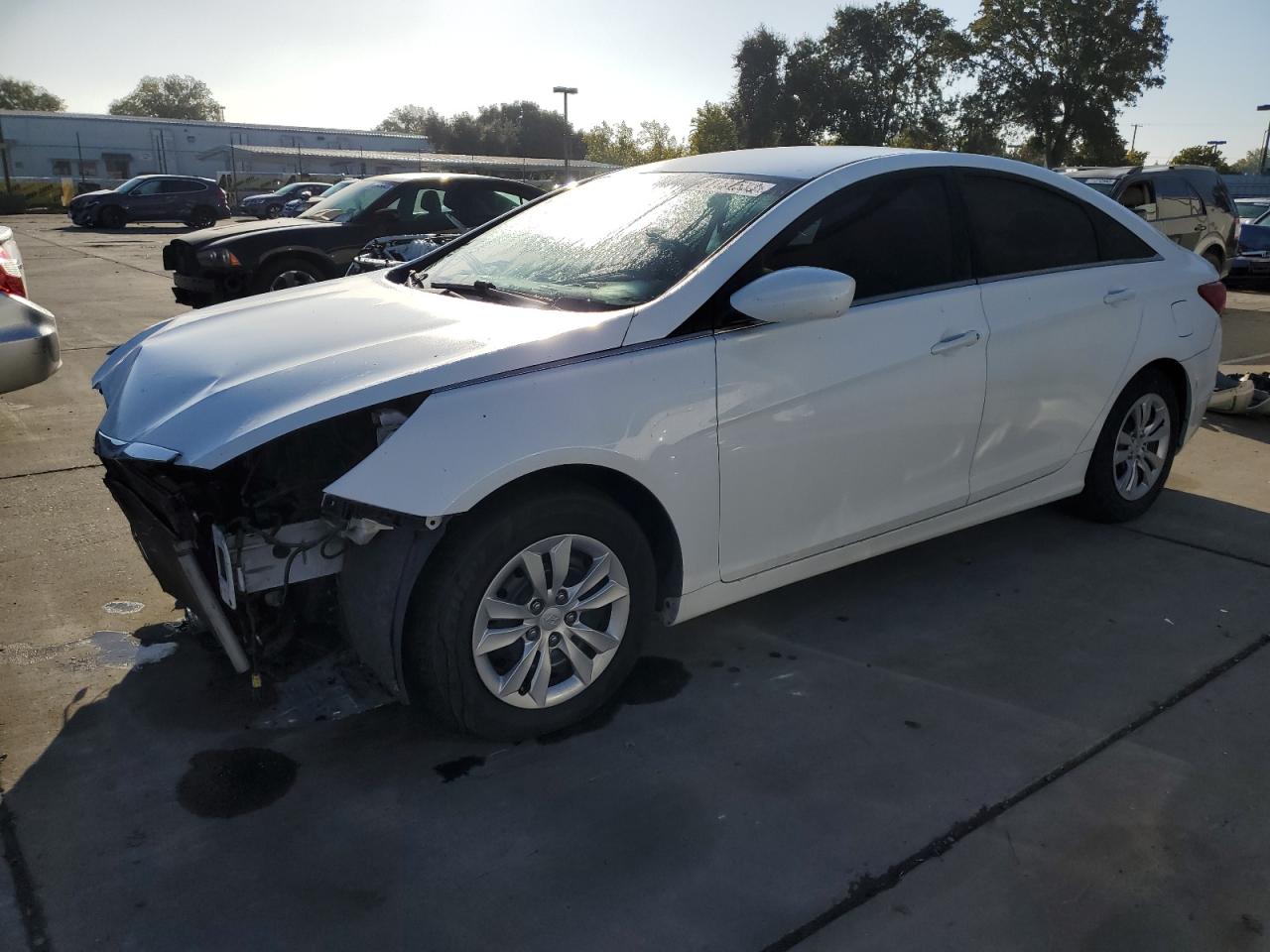 Hyundai Sonata 2013