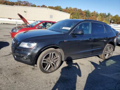 Audi Sq5 2015