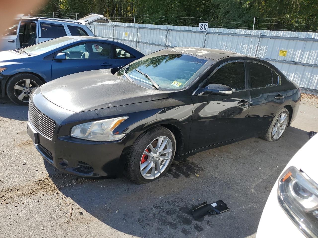 Nissan Maxima 2011