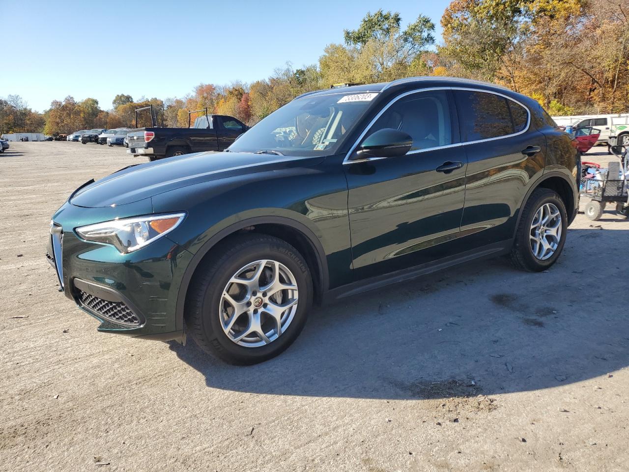 Alfa romeo Stelvio 2021